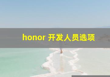 honor 开发人员选项